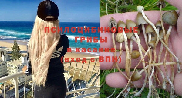 марки nbome Аркадак