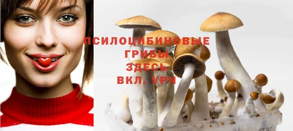 дурь Армянск